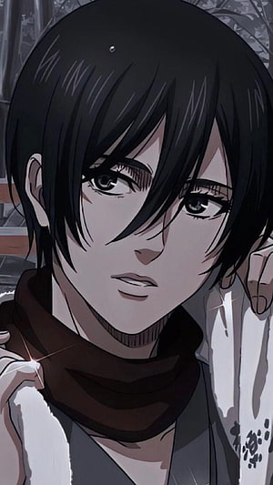 Mikasa Ackerman Close-Up Portrait From Attack on Titan Anime Series HD phone wallpaper