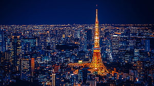 Tokyo Tower Illuminated Against the Night Sky Over the City Skyline HD wallpaper