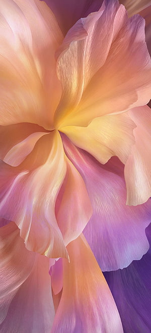 Vivo X60 Pro Default Flower Wallpaper with Soft Pastel Petals and Warm Gradient Tones HD phone wallpaper
