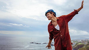 Harry Styles in Red Plaid Shirt and Blue Cap with Arms Outstretched Over Ocean Coastline HD wallpaper