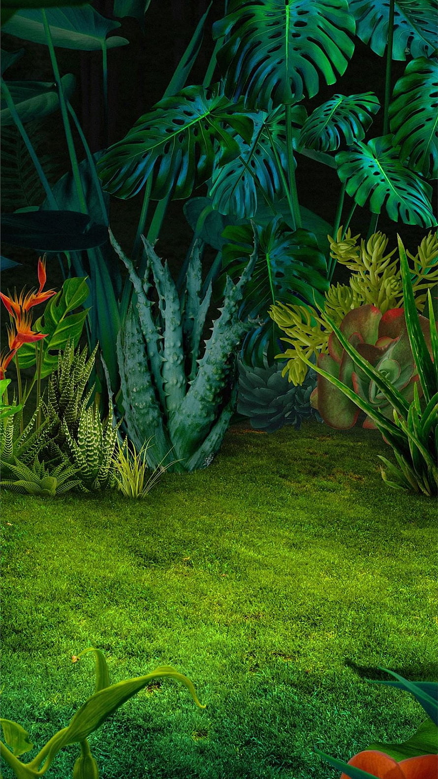 Lush Tropical Jungle Garden with Monstera Leaves and Succulents HD phone wallpaper
