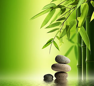 Serene Zen Garden with Stacked Stones and Bamboo Leaves on Green Background HD wallpaper