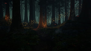 Mystical Dark Forest with Glowing Fireflies and Towering Ancient Trees HD wallpaper