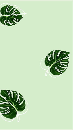 Minimalist Monstera Leaf Pattern on Soft Mint Green Background HD phone wallpaper