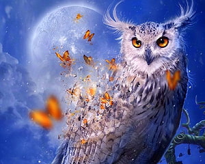 Majestic White Owl with Orange Butterflies and Full Moon Fantasy Digital Art HD wallpaper