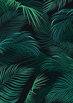 Dark Tropical Palm Leaf Pattern with Deep Green Foliage on Black Background HD phone wallpaper