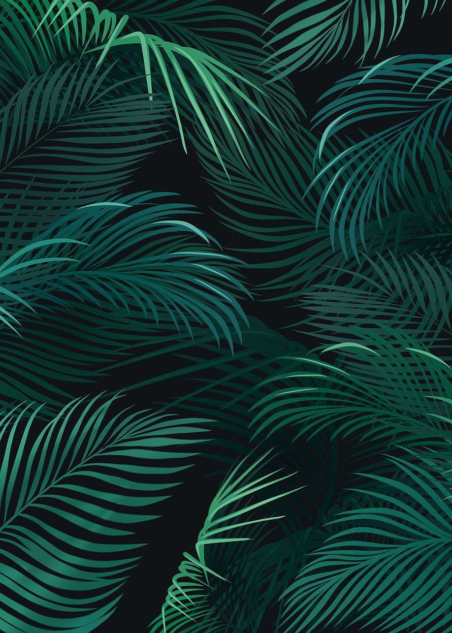 Dark Tropical Palm Leaf Pattern with Deep Green Foliage on Black Background HD phone wallpaper