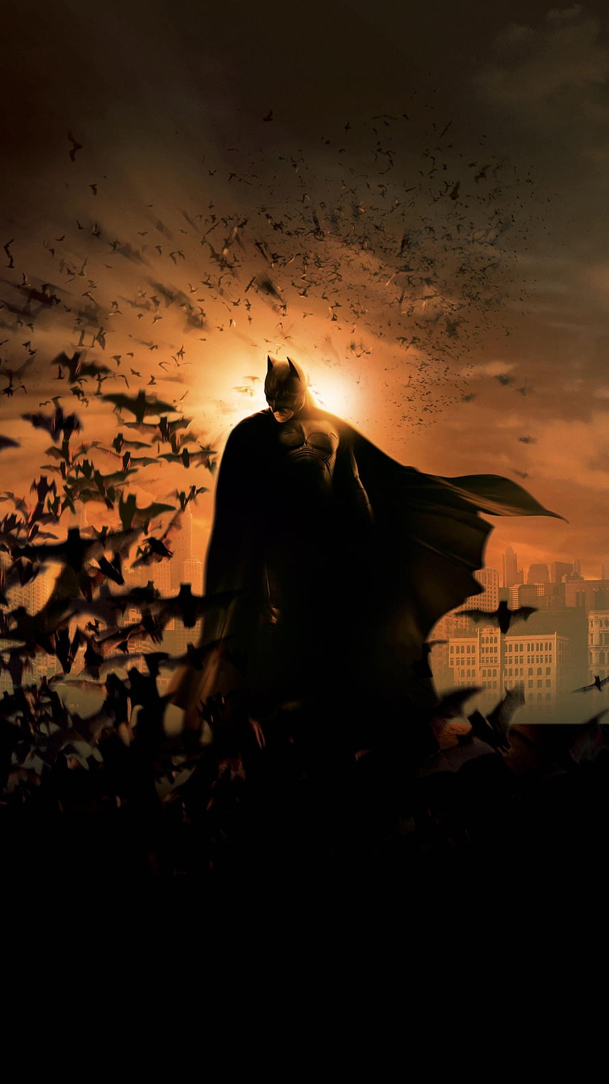 Batman Silhouette Surrounded by Swarming Bats Against a Dramatic Orange Sunset Sky, Batman Begins (2005) , The Batman 2004 HD phone wallpaper
