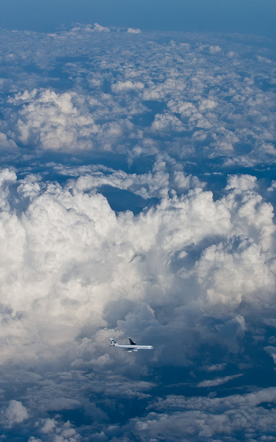 Aerial View of Commercial Airplane Cruising Above Dense Cumulus Clouds HD phone wallpaper