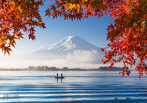 Mount Fuji Rising Above Lake Kawaguchi Framed by Vibrant Autumn Maple Leaves HD wallpaper