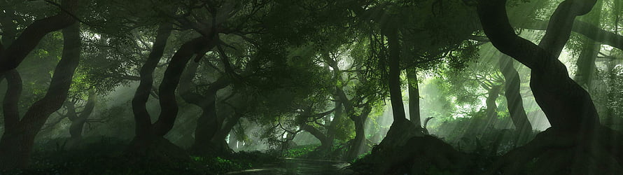 Misty Ancient Forest with Sunbeams Filtering Through Dense Canopy HD wallpaper