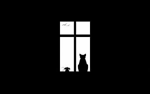 Minimalist Black and White Silhouette of a Cat and Mouse Watching Birds Through a Window HD wallpaper