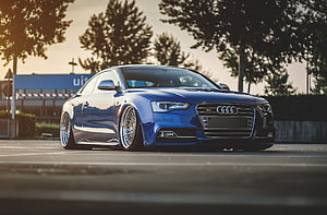 Stanced Blue Audi S5 Coupe with Custom Mesh Wheels at Golden Hour HD wallpaper