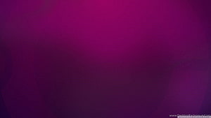 Deep Purple Gradient Abstract Background with Soft Blurred Texture HD wallpaper