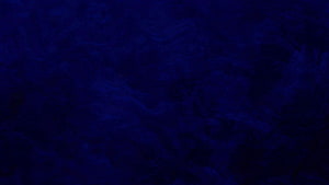 Deep Navy Blue Abstract Texture with Subtle Organic Swirls and Dark Tonal Depth HD wallpaper