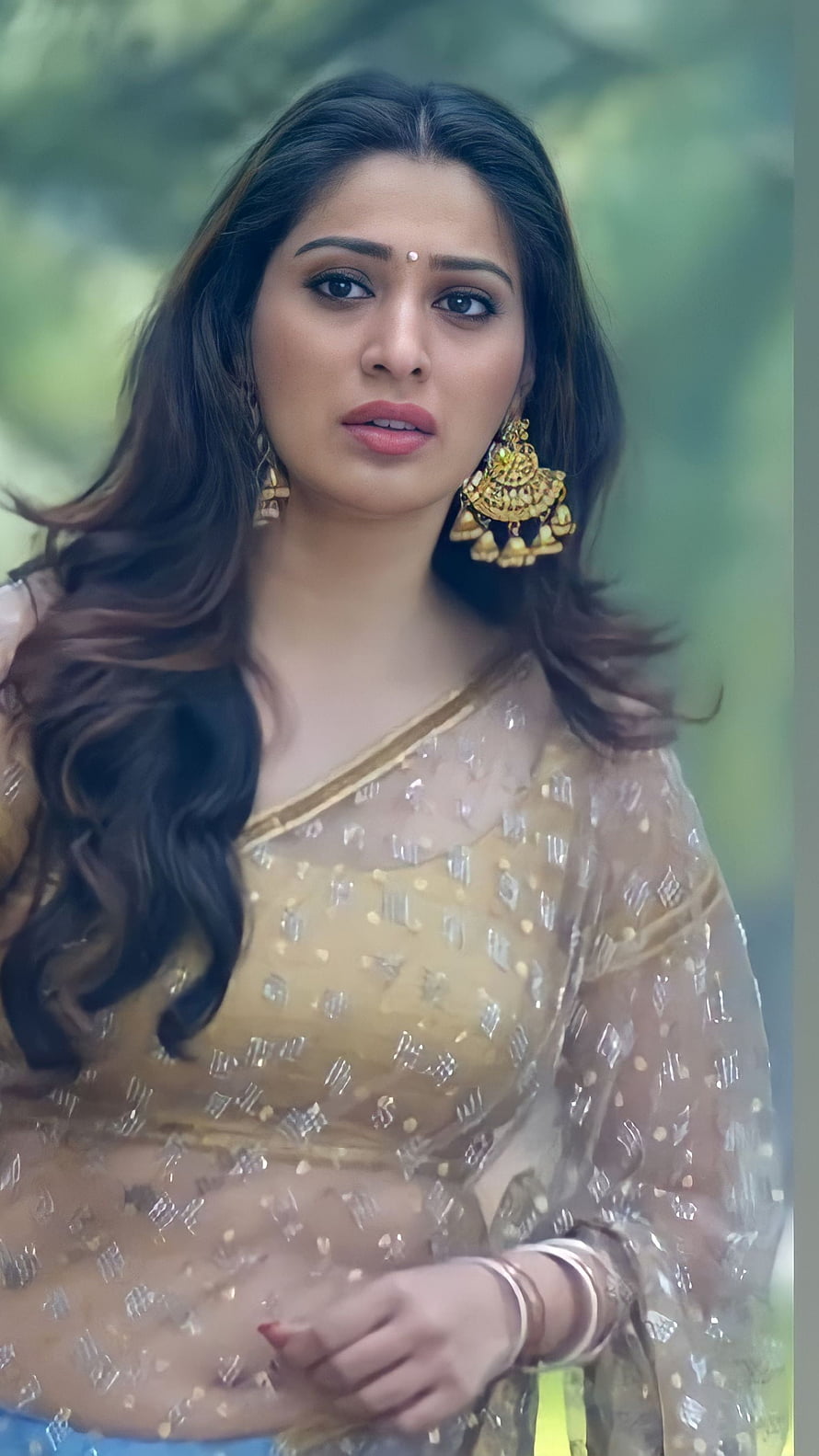 Lakshmi Rai in a Gold Embellished Saree with Traditional Jhumka Earrings HD phone wallpaper