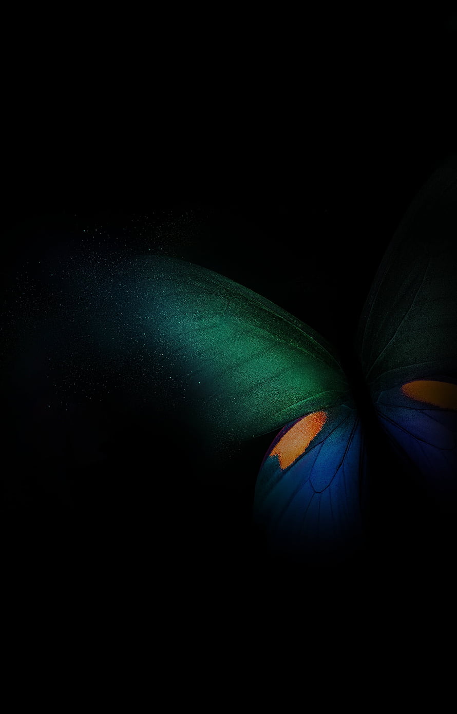 Iridescent Butterfly Wings in Emerald and Sapphire Tones Against a Dark Background HD phone wallpaper