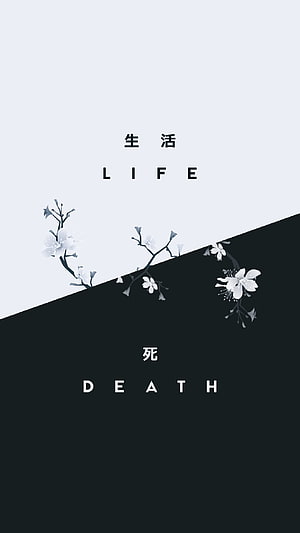 Minimalist Black and White Life and Death Quote with Delicate Blossom Branches HD phone wallpaper