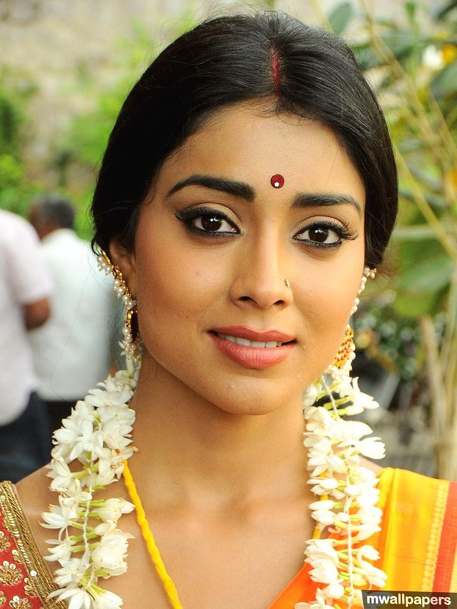 Shriya Saran in Traditional Indian Attire with Jasmine Garland and Saree HD phone wallpaper