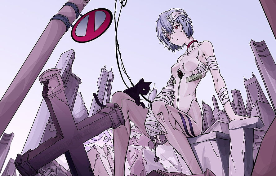 Rei Ayanami from Neon Genesis Evangelion Sitting on Ruined Cityscape with Black Cat HD wallpaper