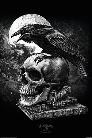 Gothic Raven Perched on Skull and Books Under Full Moon HD phone wallpaper