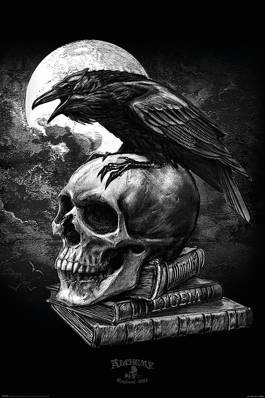 Gothic Raven Perched on Skull and Books Under Full Moon HD phone wallpaper