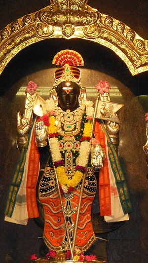 Lord Murugan Temple Deity Adorned in Gold and Flowers HD phone wallpaper