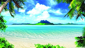 Tropical Island Beach with Palm Trees and Turquoise Ocean Water HD wallpaper