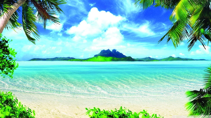 Tropical Island Beach with Palm Trees and Turquoise Ocean Water HD wallpaper