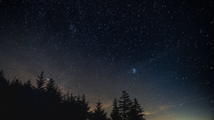 Starry Night Sky Over Silhouetted Pine Trees With Milky Way and Shooting Star HD wallpaper
