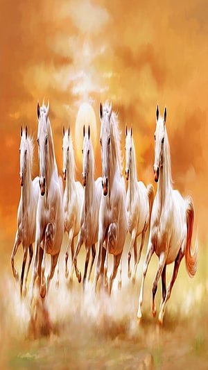 Seven White Horses Galloping Together in a Golden Sunset Landscape HD phone wallpaper