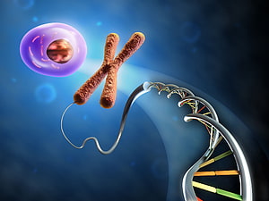 3D DNA Helix, Chromosome, and Cell Illustration for Biology and Genetics HD wallpaper