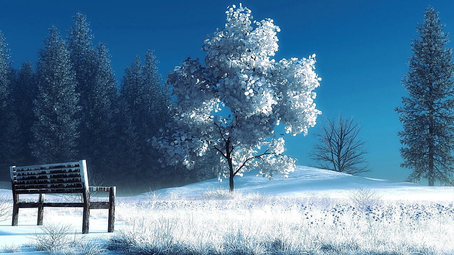 Serene Winter Landscape With Snowy Trees And A Wooden Bench Under A Clear Blue Sky HD wallpaper