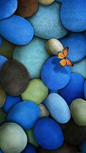 Monarch butterfly resting on a bed of smooth blue and green pebbles in a serene zen composition HD phone wallpaper