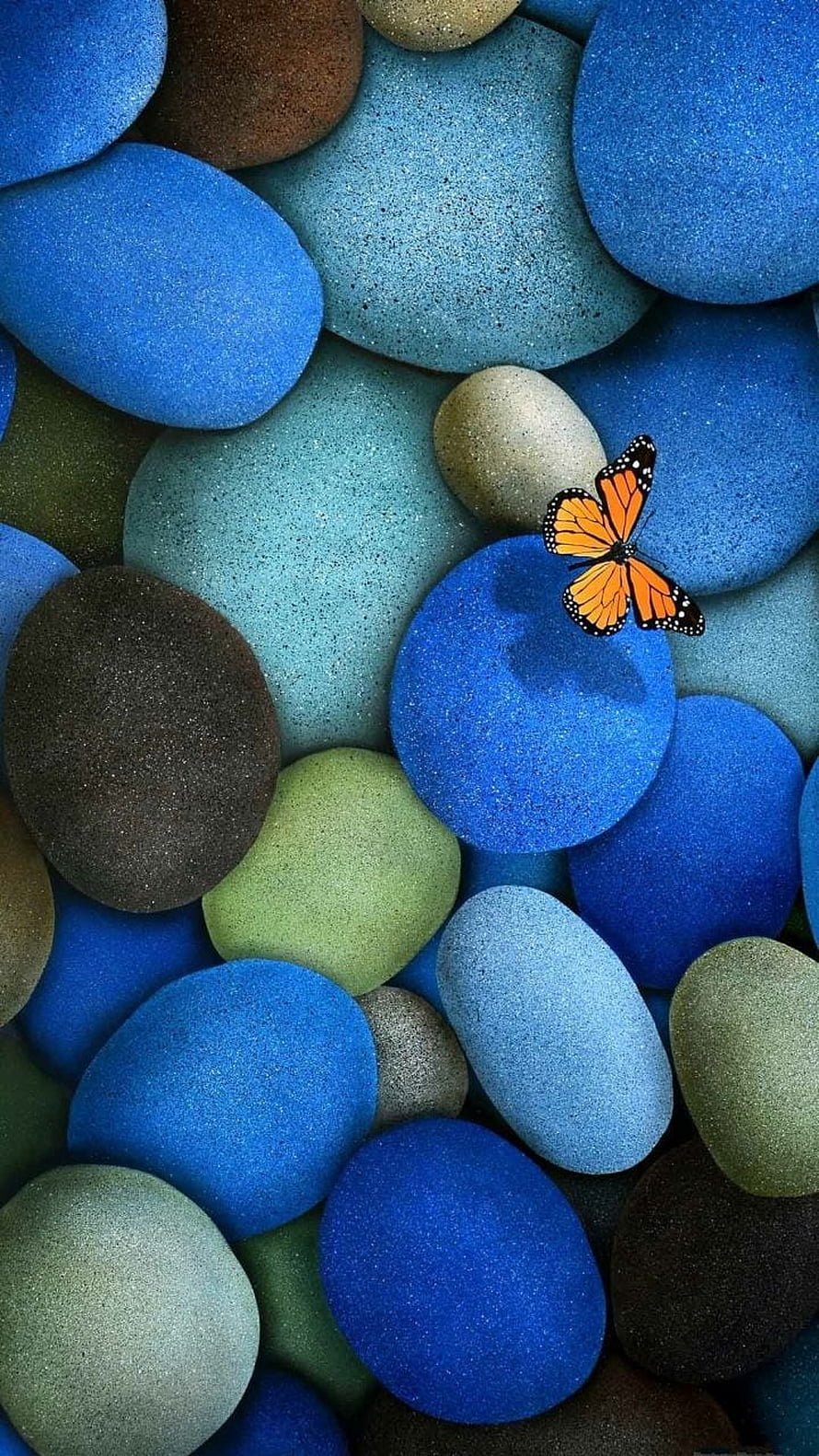 Monarch butterfly resting on a bed of smooth blue and green pebbles in a serene zen composition HD phone wallpaper