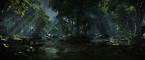 Misty Jungle River Scene with Abandoned Vehicles and Dense Tropical Foliage HD wallpaper