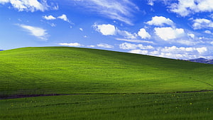 Rolling Green Hills Under a Bright Blue Sky with Scattered Clouds HD wallpaper