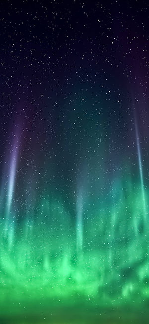 Vibrant Green Aurora Borealis Dancing Across a Starry Night Sky HD phone wallpaper