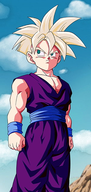 Teen Gohan Super Saiyan in Purple Gi with Blue Sash and Wristbands HD phone wallpaper
