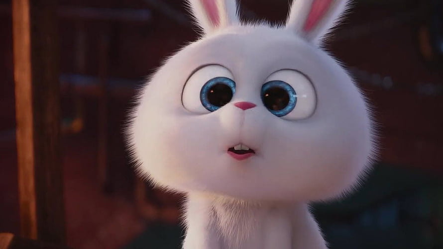 Snowball from The Secret Life of Pets in a Close-Up Portrait with Wide Blue Eyes HD wallpaper