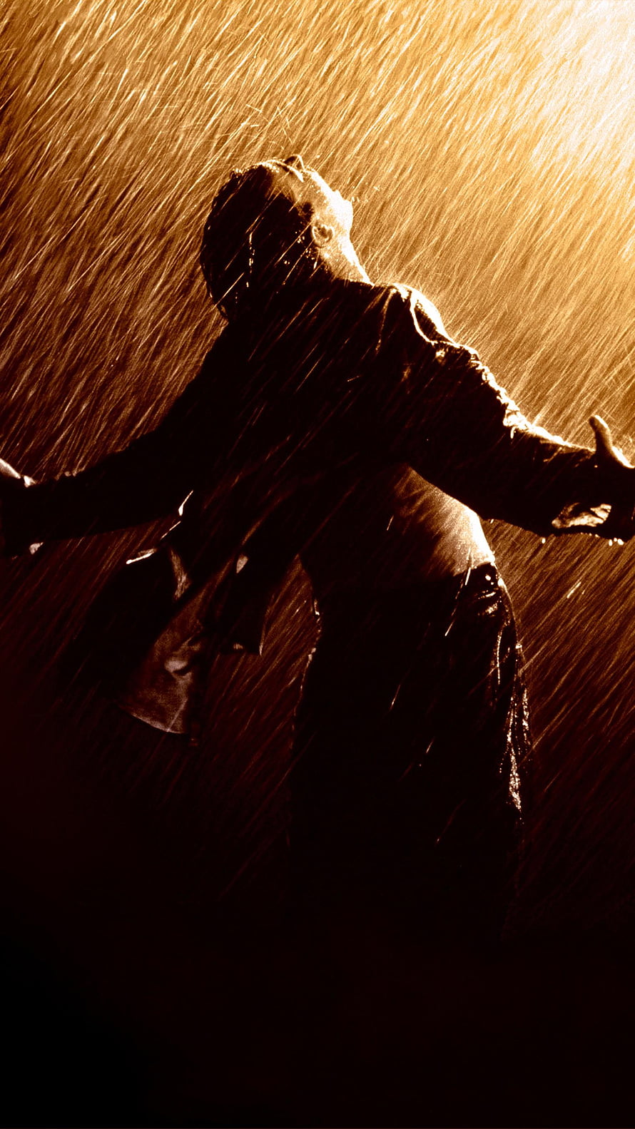 The Shawshank Redemption Silhouette in the Rain Cinematic Scene HD phone wallpaper