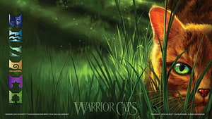 Warrior Cats Into The Wild Cover Artwork Featuring Orange Tabby Cat in Tall Grass HD wallpaper