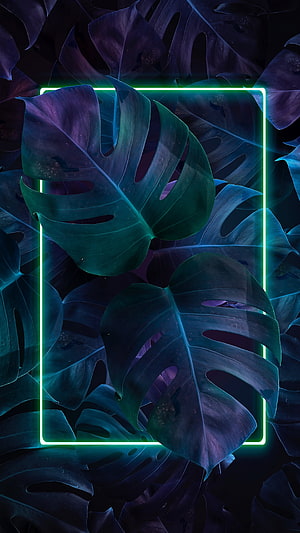 Neon Green Frame Over Dark Monstera Leaves with Purple and Teal Tones HD phone wallpaper