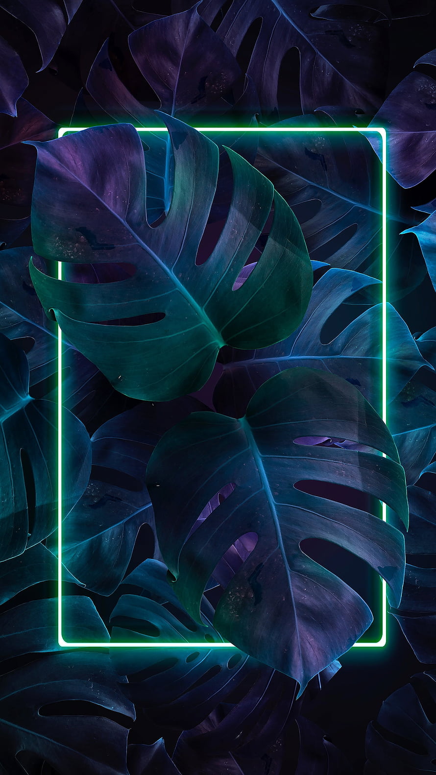 Neon Green Frame Over Dark Monstera Leaves with Purple and Teal Tones HD phone wallpaper