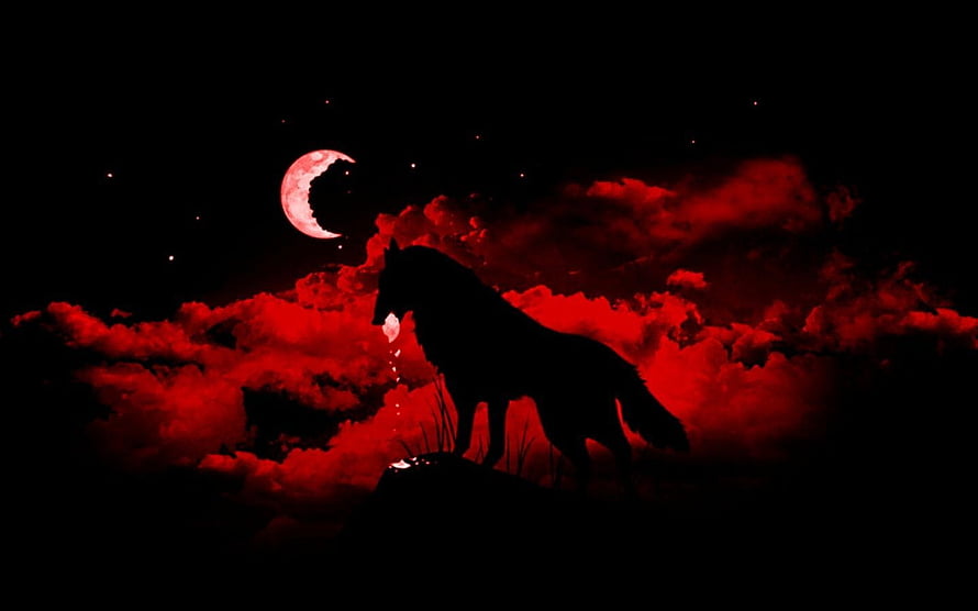 Silhouette of a wolf howling at a red crescent moon against dark crimson clouds HD wallpaper