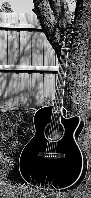 Black Acoustic Guitar Leaning Against Tree Trunk in Monochrome Outdoor Setting HD phone wallpaper