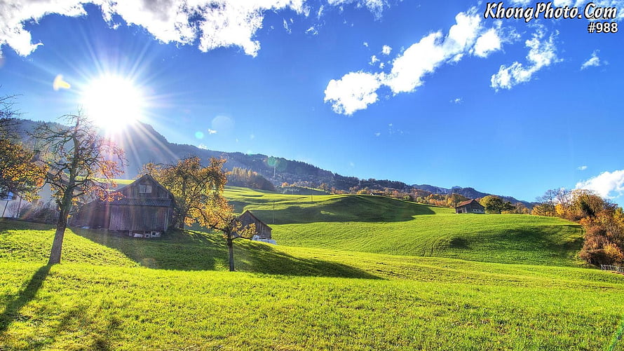 Sunlit Alpine Pasture with Rustic Barns and Rolling Green Hills HD wallpaper