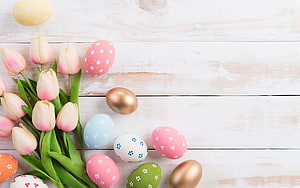 Pastel Easter Eggs and Pink Tulips on White Wooden Background HD wallpaper