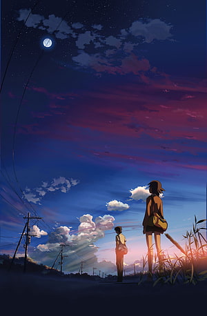 Two Silhouetted Figures Gazing at a Starry Twilight Sky in a Makoto Shinkai Style Anime Scene HD phone wallpaper