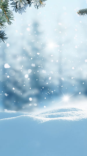 Serene Winter Forest Scene With Snowy Pine Branches And Soft Falling Snowflakes HD phone wallpaper